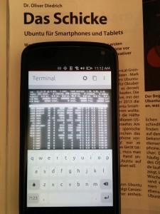 Terminal mit root access.